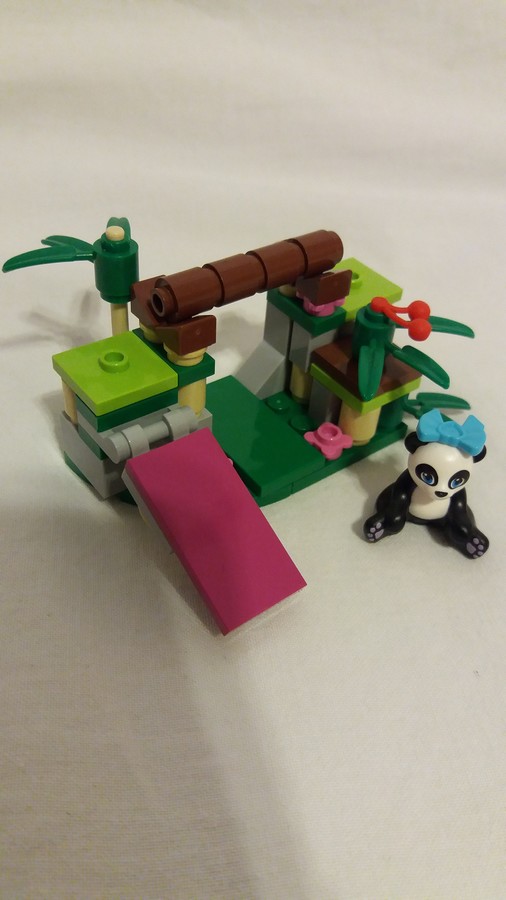 Panda bambusza