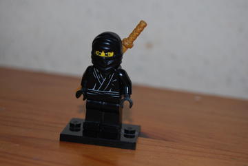 Ninja