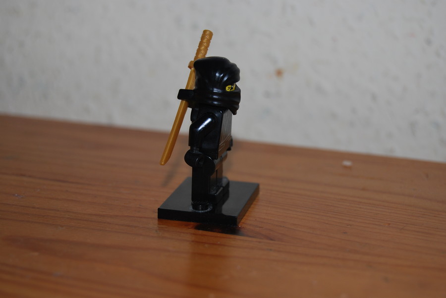 Ninja