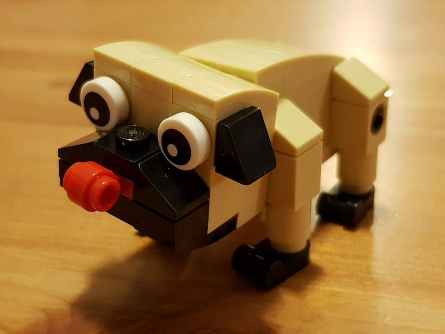 Butch, a mopsz