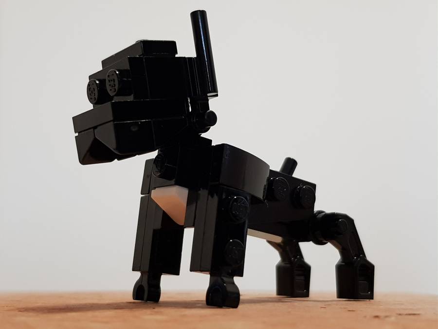 Ribizli a francia bulldog
