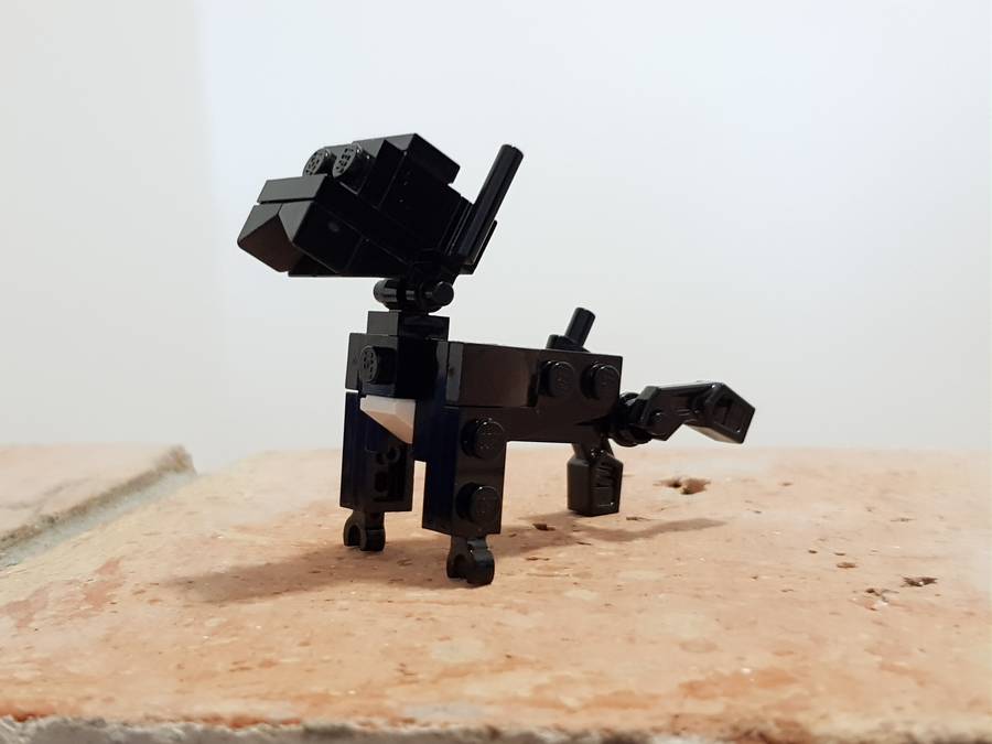Ribizli a francia bulldog