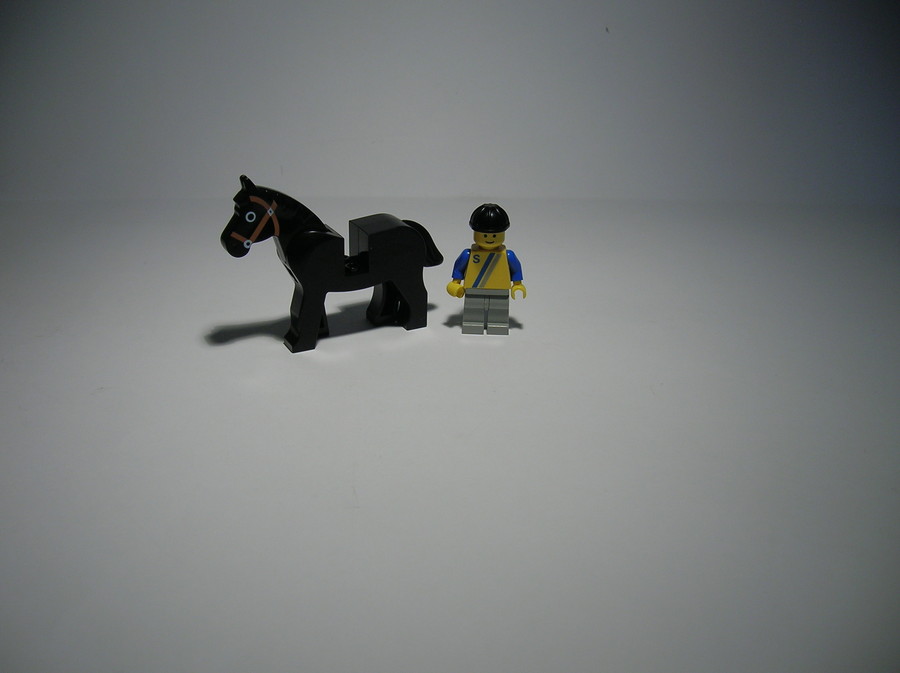 Horse Trailer