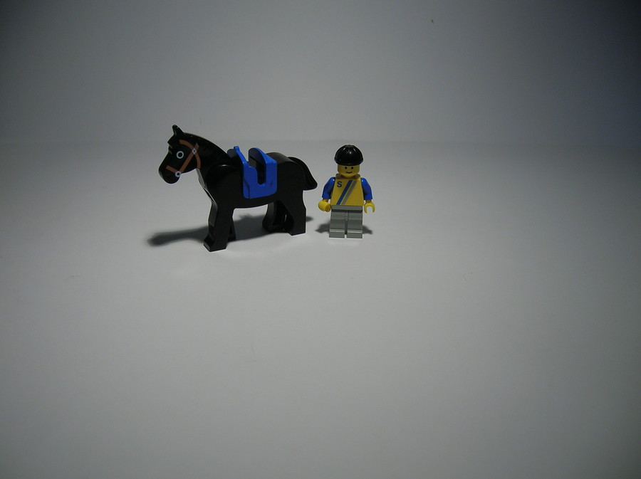 Horse Trailer