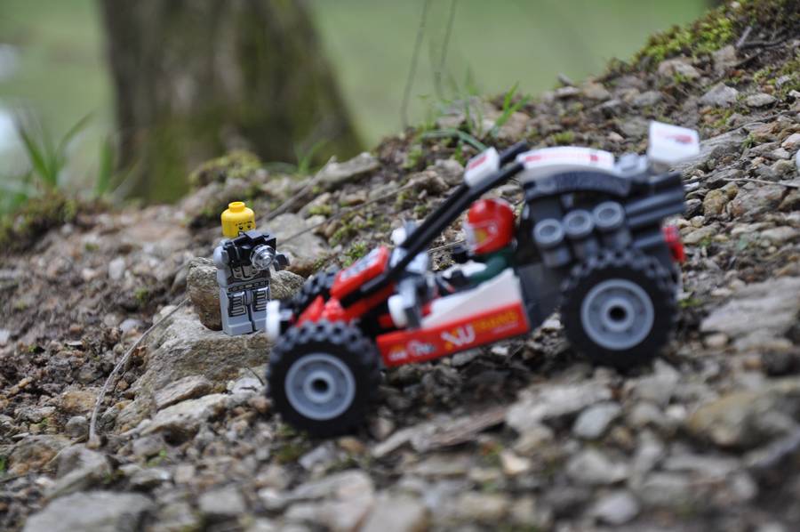 Erdei Rally