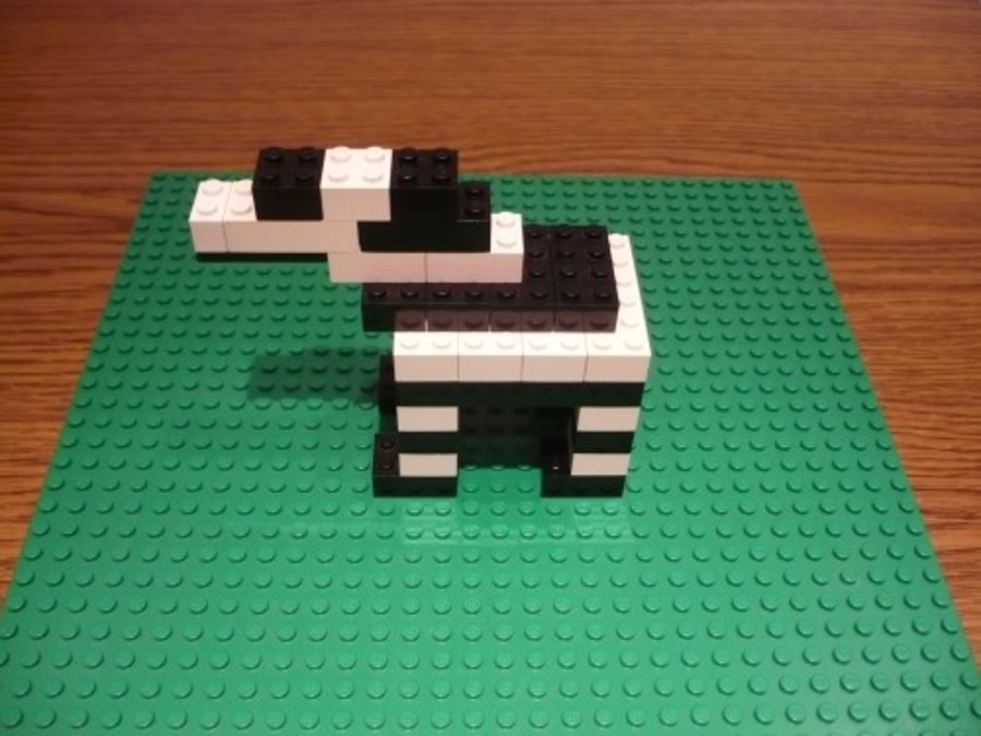 Zebra