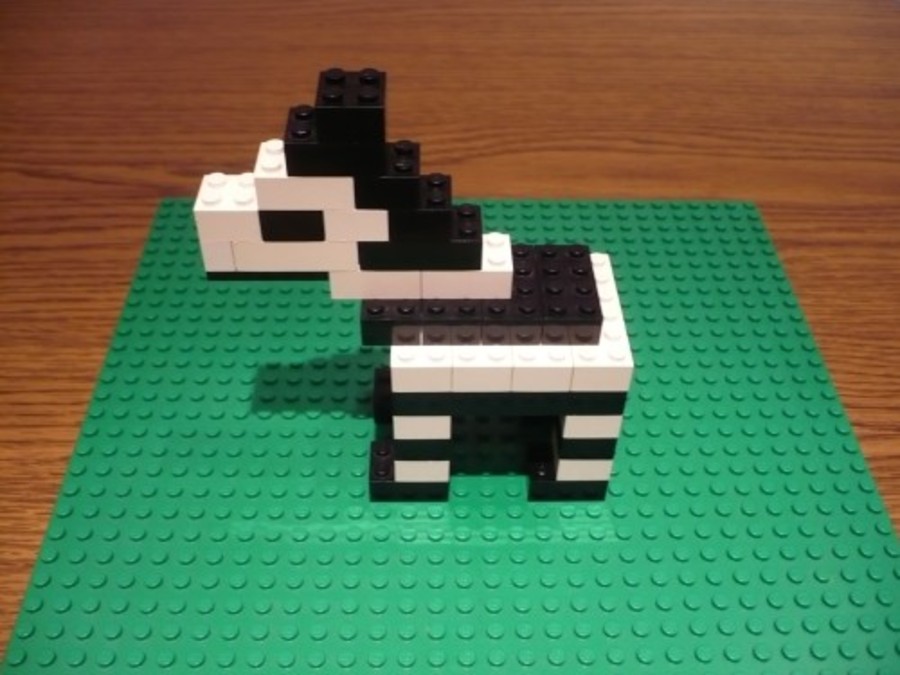 Zebra