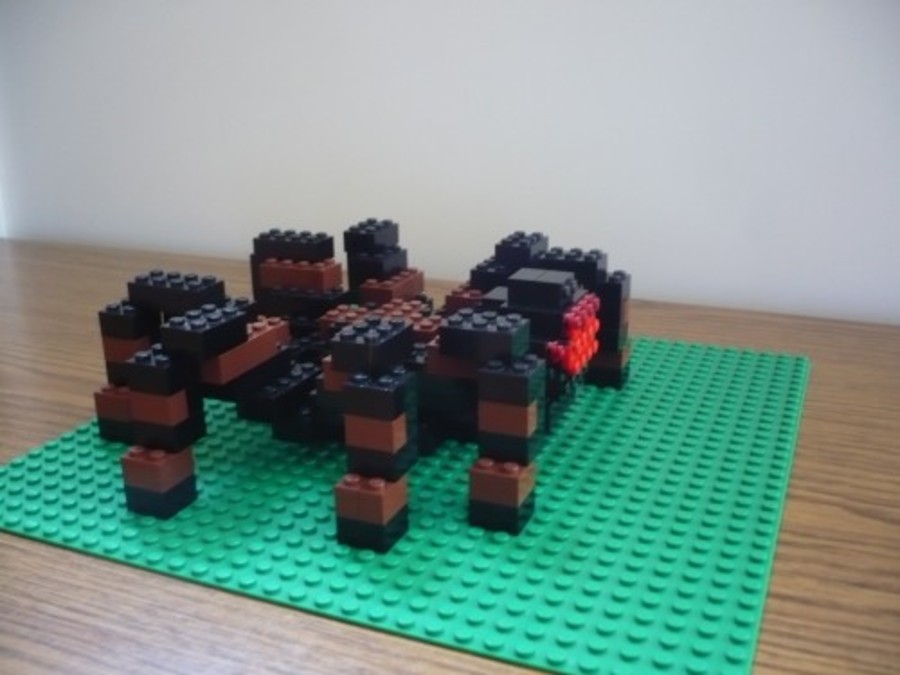 Pók