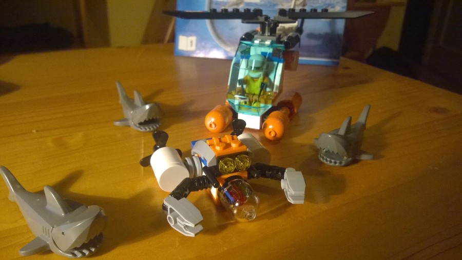 A parti őrség járőre :)