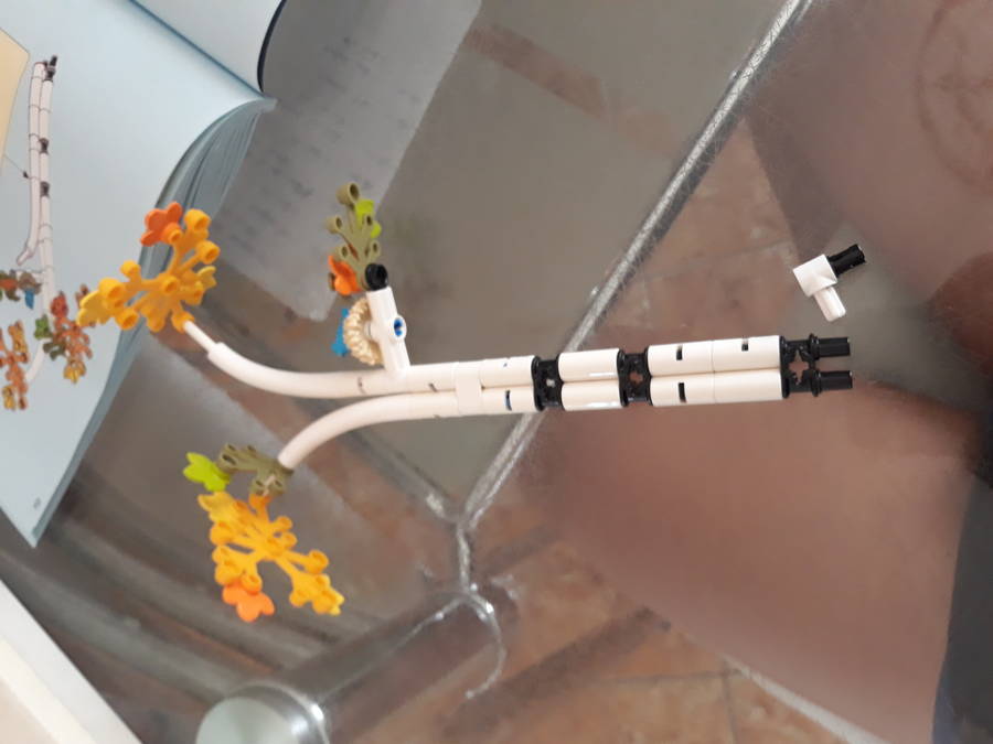 Lego könyvesbolt