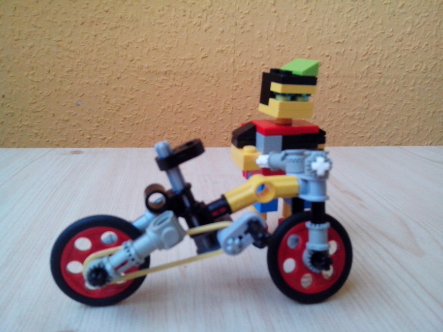 Technic bicó