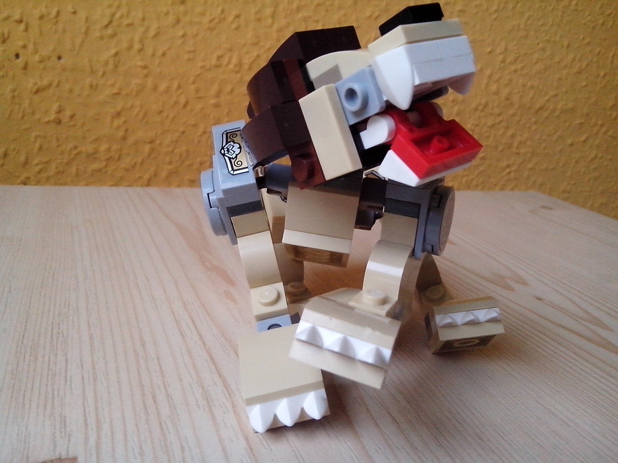Chima