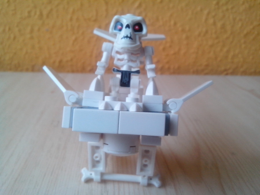 Skeleton repülője KBM