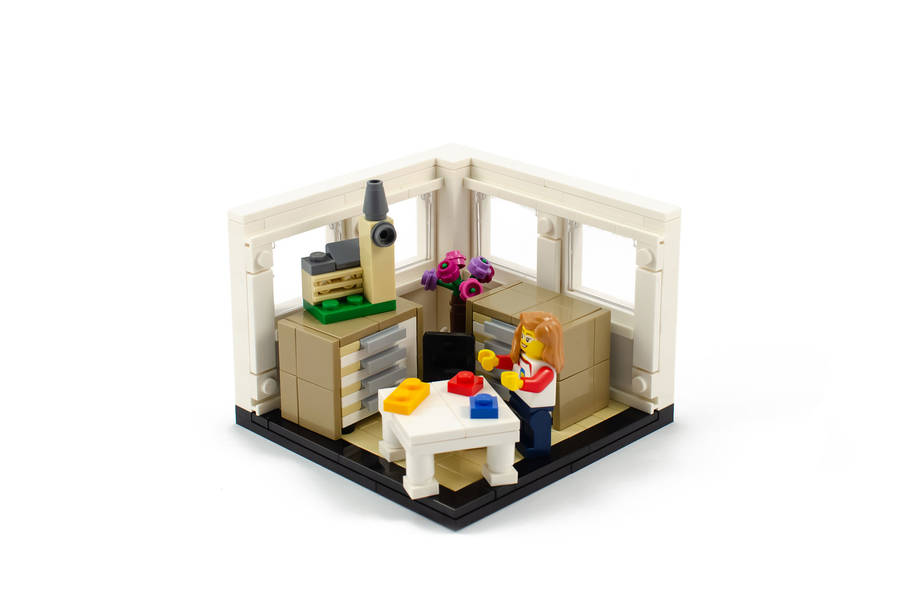 The LEGO® Story