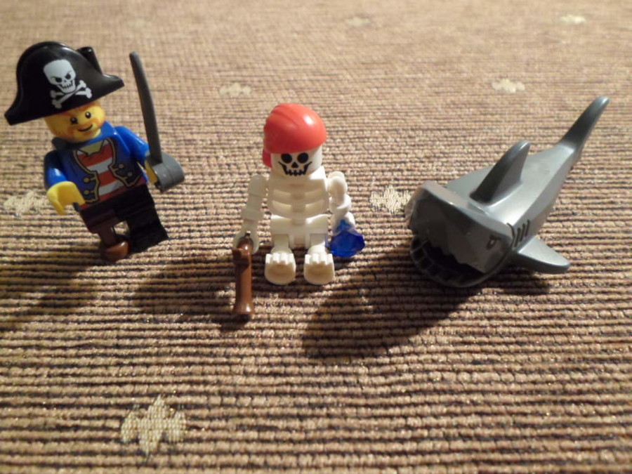 10679 Pirate Treasure Hunt