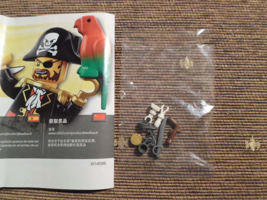10679 Pirate Treasure Hunt