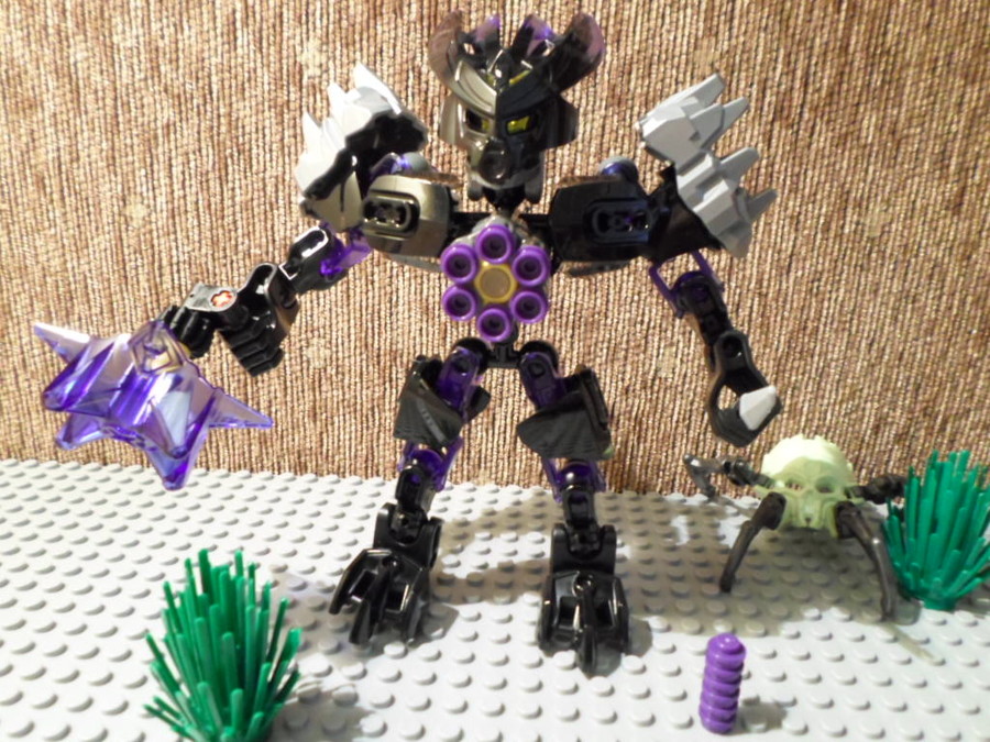 70781 Protector of earth