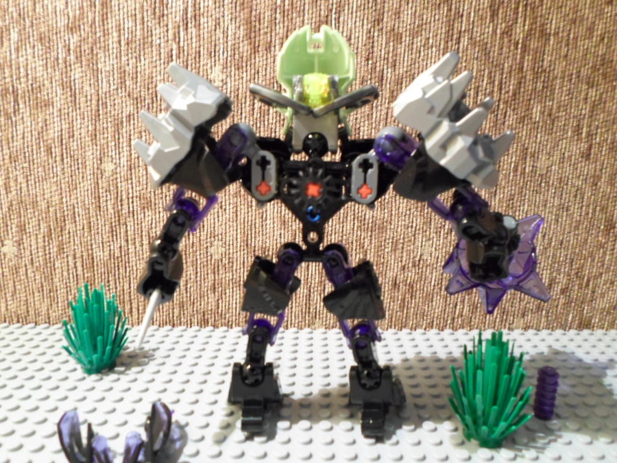 70781 Protector of earth