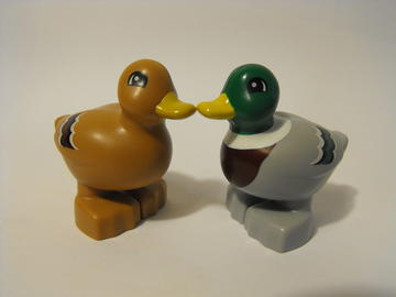 Duplo: kacsák