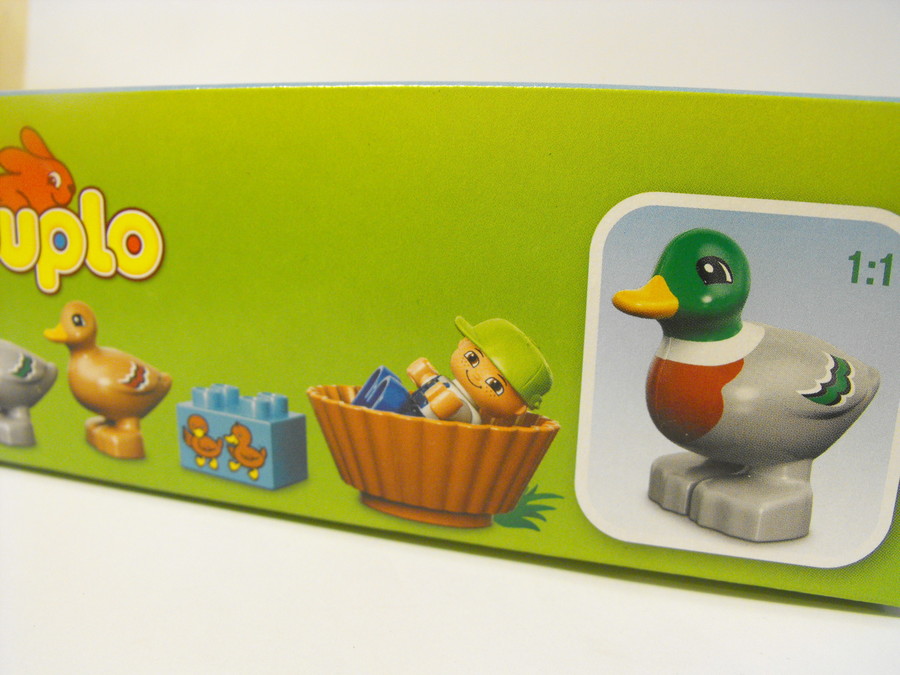 Duplo: kacsák