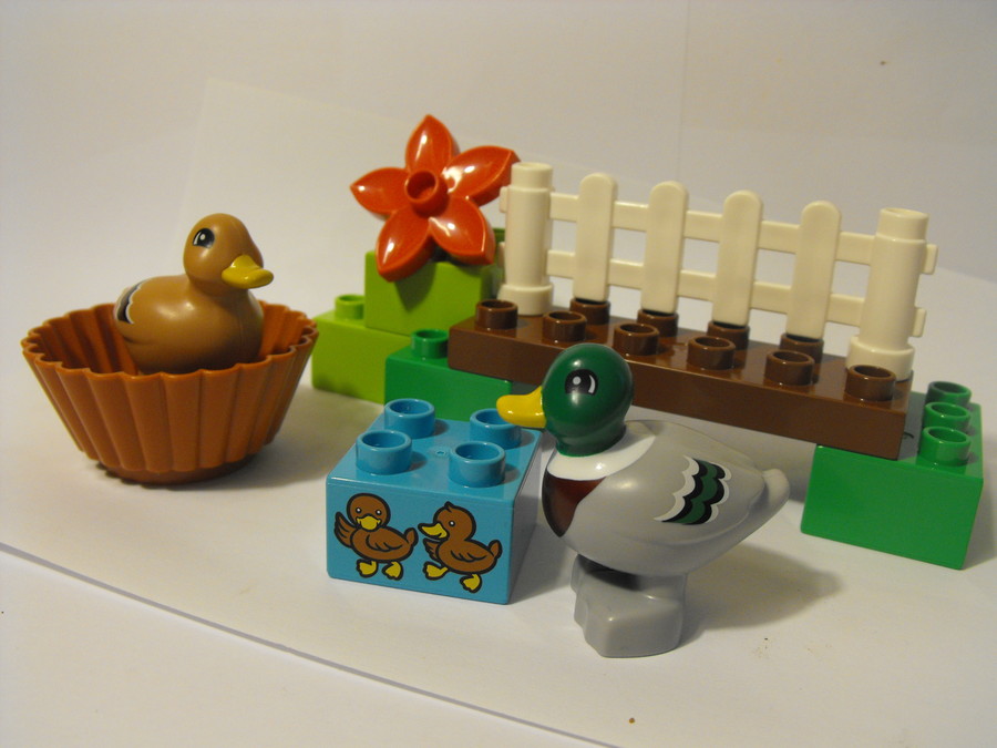 Duplo: kacsák