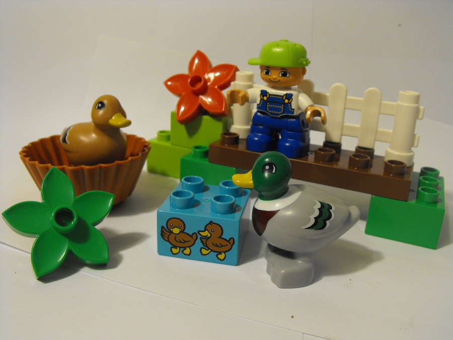 Duplo: kacsák
