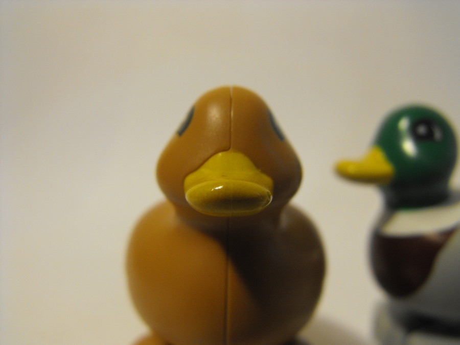 Duplo: kacsák