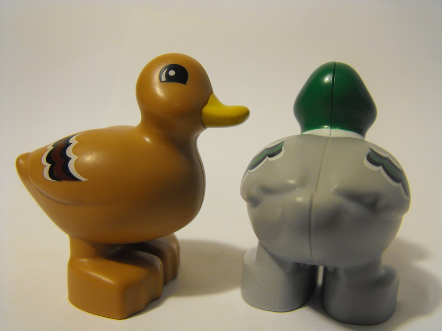 Duplo: kacsák