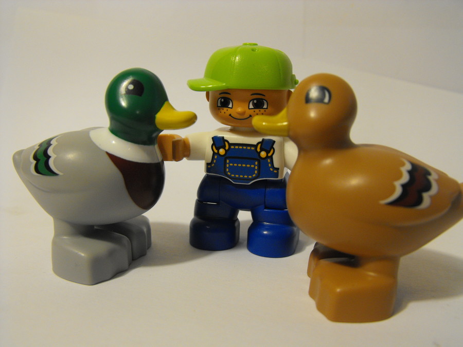 Duplo: kacsák