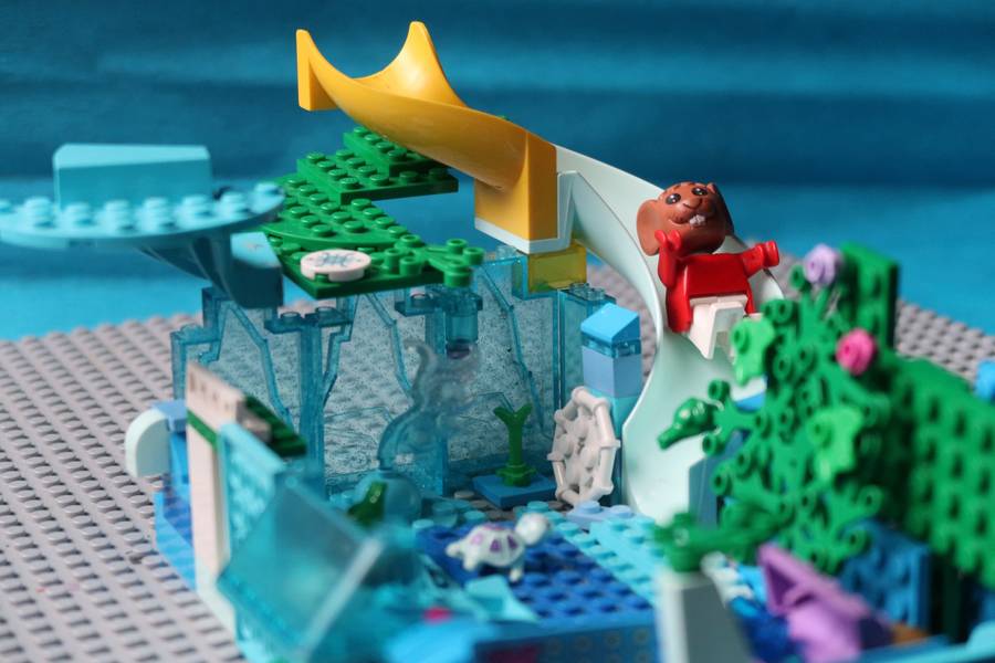 Balikó csúszdázik a Bíborkorall Tohonyaparkban