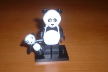 panda
