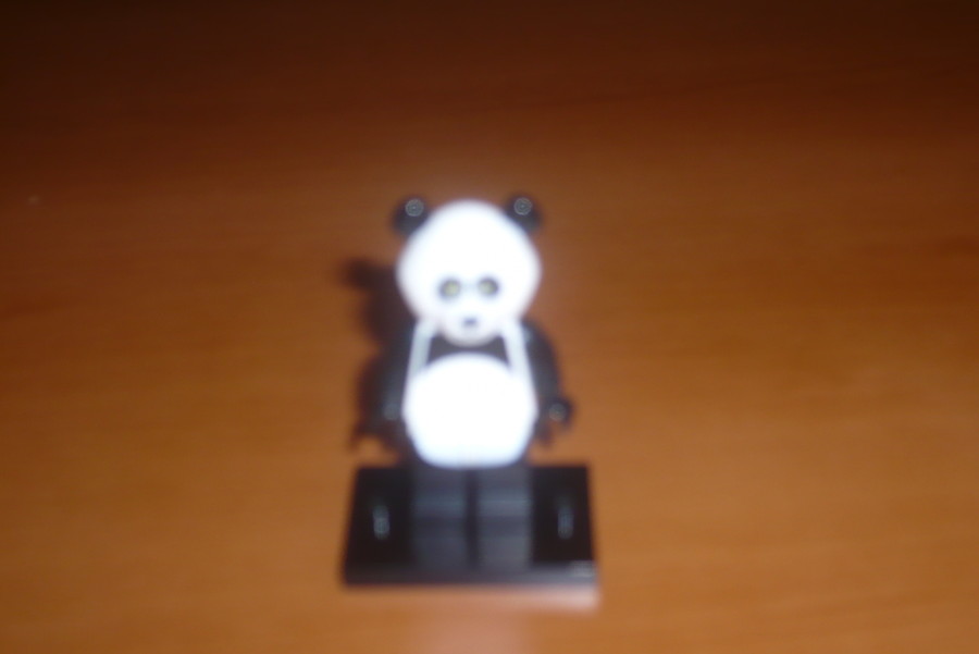 panda