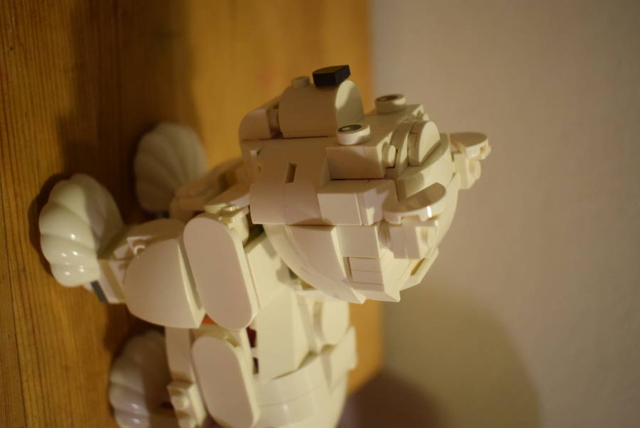 Jegesmedve