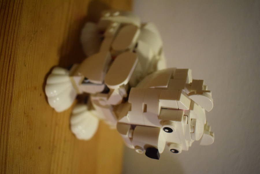 Jegesmedve