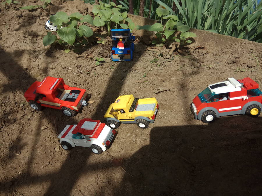 Rally verseny