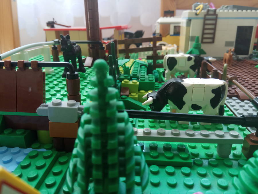 A farm valólyában