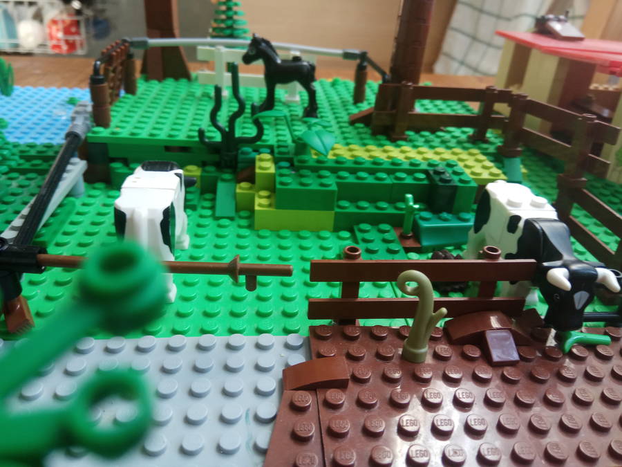 A farm valólyában