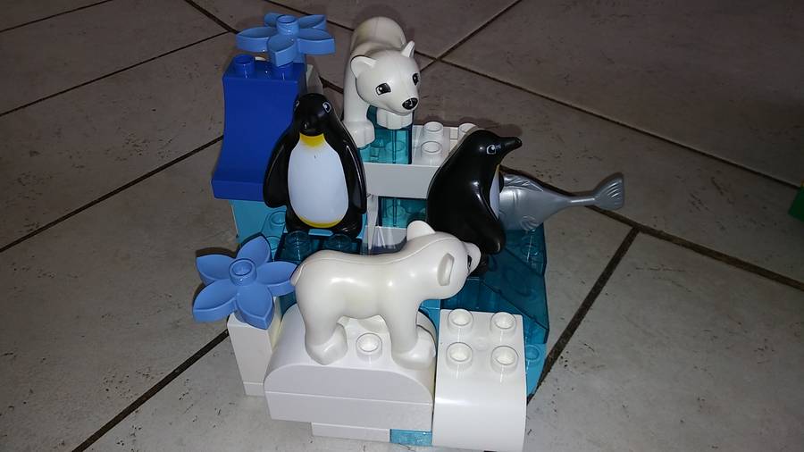 Duplo állatok