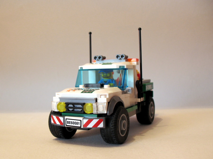 60081