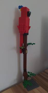 Papagáj