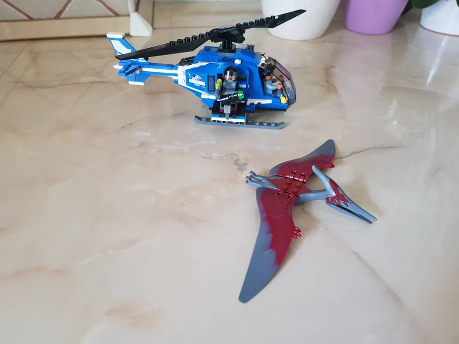 Pteranodon elfogás