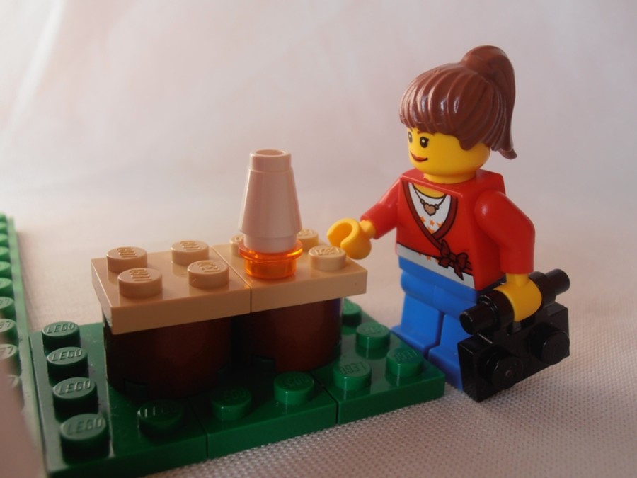 31009 Fruit Shop