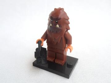 71010 Négyszög Nagyláb