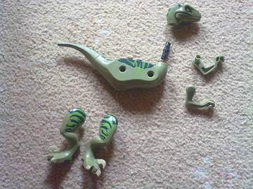 Raptor vadászat