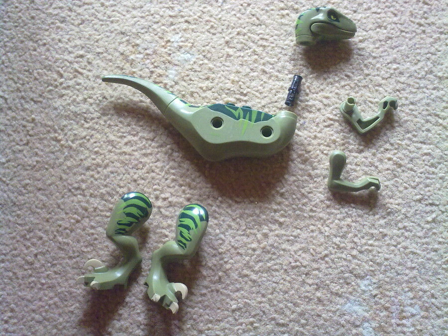 Raptor vadászat
