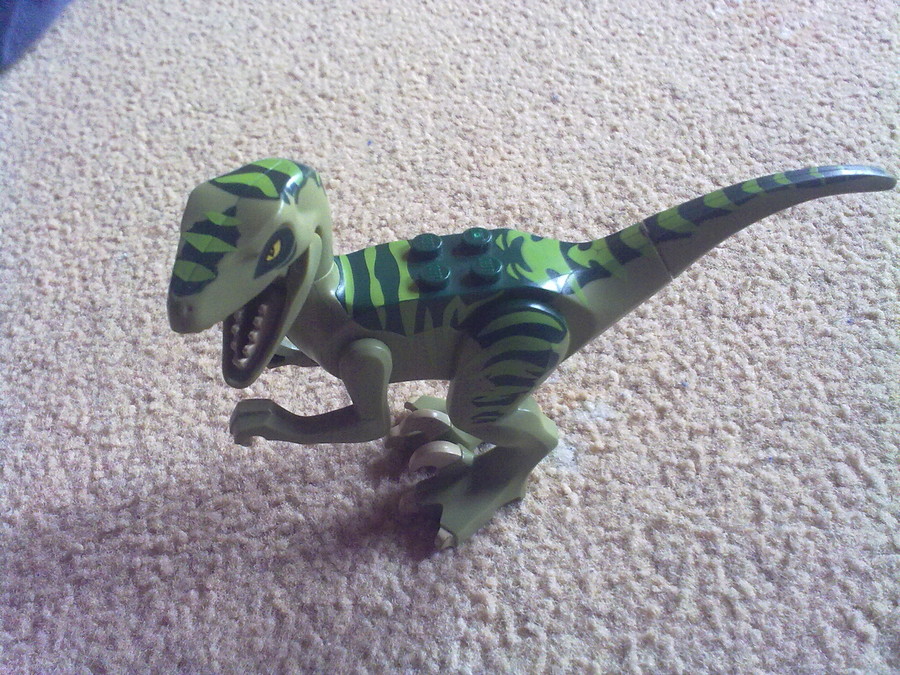 Raptor vadászat