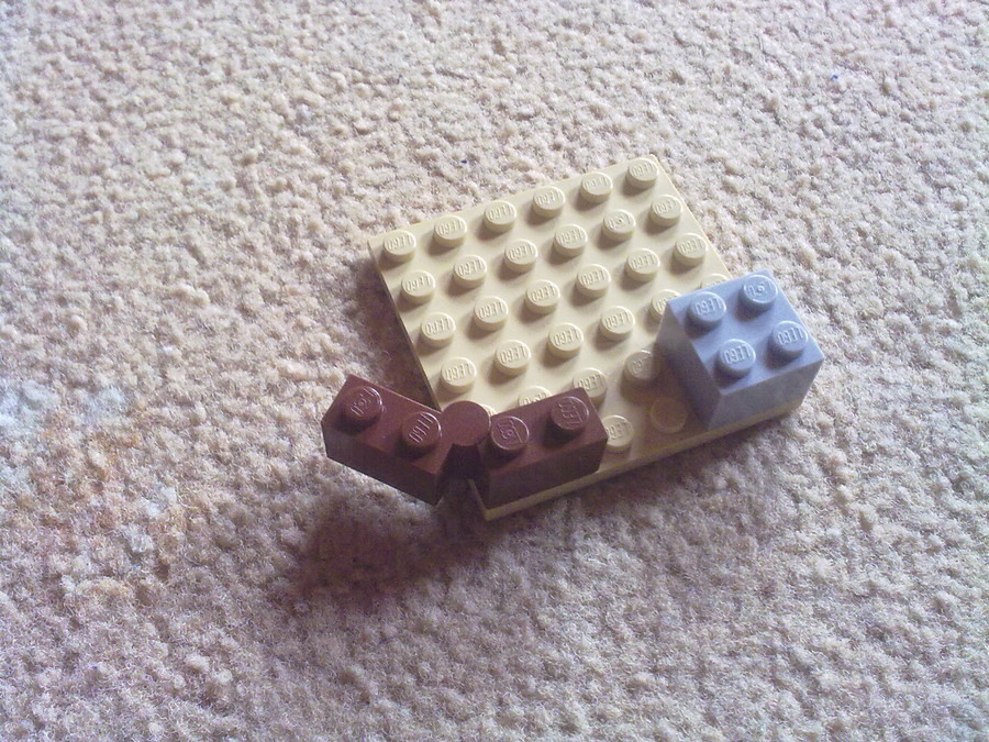Raptor vadászat