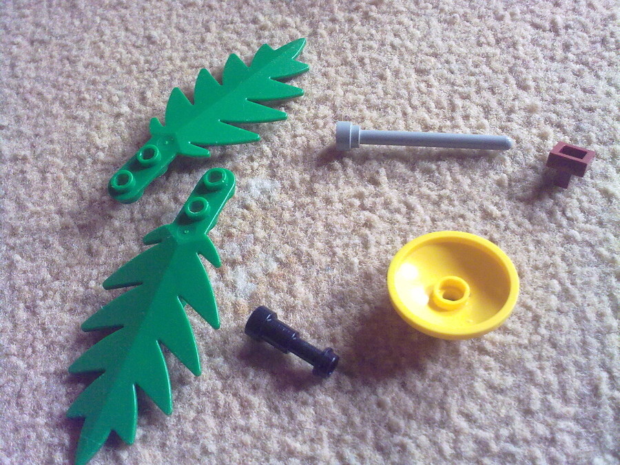 Raptor vadászat