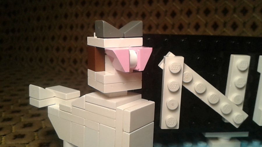 Grumpy cat