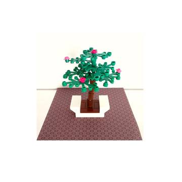 Bonsai